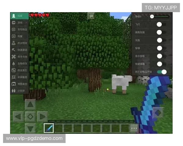 全面解析PG游戏入口网站的优势与特色，助你轻松找到最优质的游戏体验平台